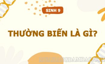 Thường biến là hiện tượng có lợi cho các loài sinh vật