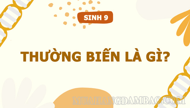 Thường biến là hiện tượng có lợi cho các loài sinh vật