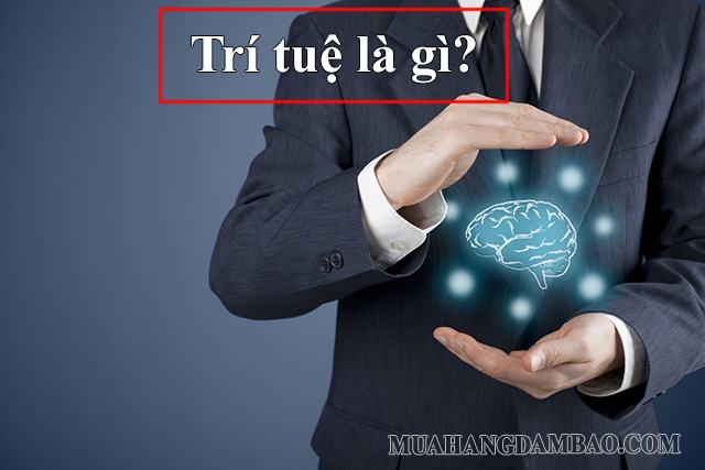 Trí tuệ của con người