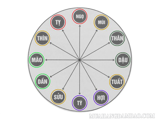 Các nhóm tuổi tứ hành xung