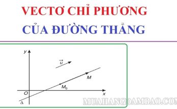 Vecto chỉ phương có ý nghĩa quan trọng trong mặt phẳng tọa độ