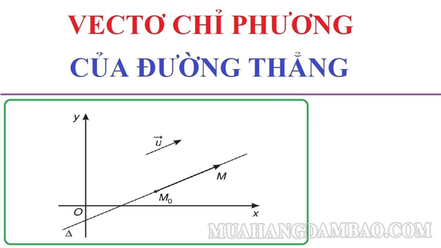 Vecto chỉ phương có ý nghĩa quan trọng trong mặt phẳng tọa độ