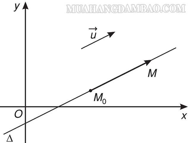 Vecto chỉ phương được ứng dụng giải nhiều bài tập khác nhau