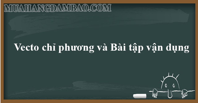 Tham khảo một số bài tập tiêu biểu về vecto chỉ phương