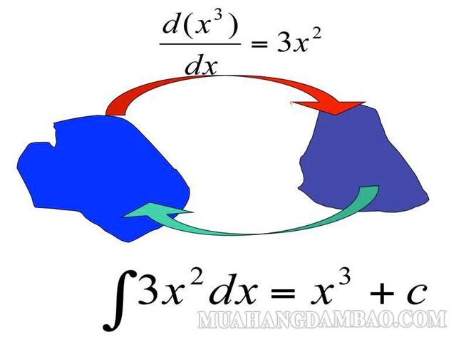 Đạo hàm và vi phân tồn tại những điểm khác biệt