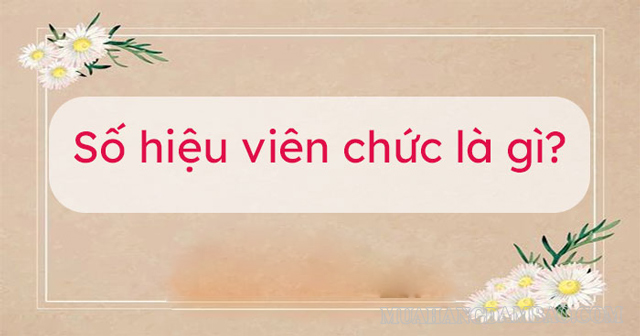 Số hiệu viên chức được dùng để phân chia, quản lý viên chức theo ngành nghề