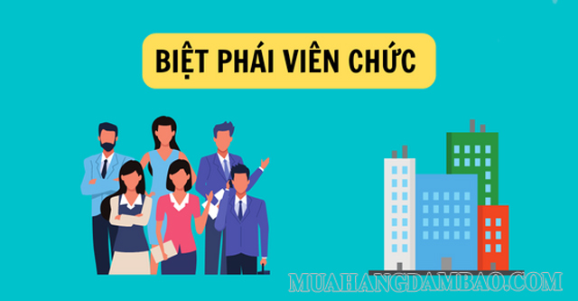 Biệt phái viên chức thường được cử đi làm việc tại các cơ quan khác theo yêu cầu