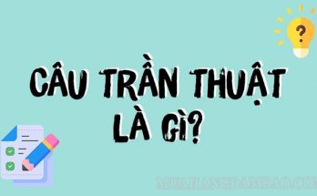 Câu trần thuật là dạng câu phổ biến trong tiếng Việt