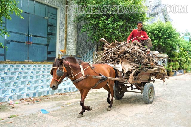 Hình ảnh thực tế về công cơ học trong cuộc sống