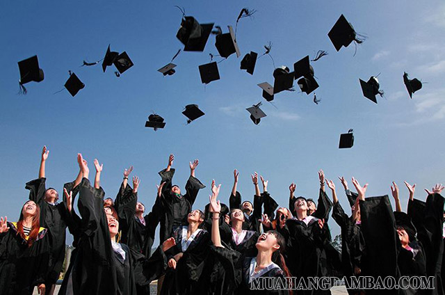 Cử nhân - sinh viên đã tốt nghiệp Đại học