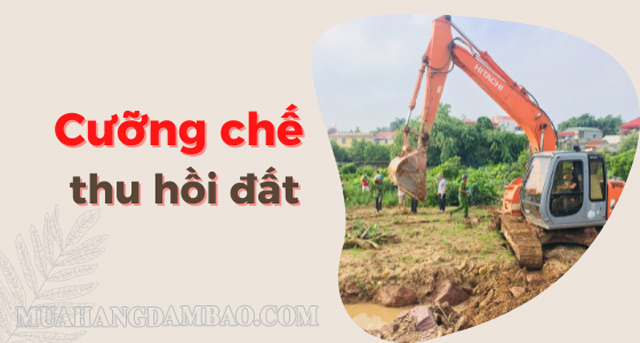 Cưỡng chế thu hồi là hành vi đáp ứng, không có sự tự nguyện