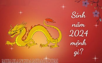 Những người sinh năm 2024 thuộc mệnh Hỏa (Phú Đăng Hỏa)