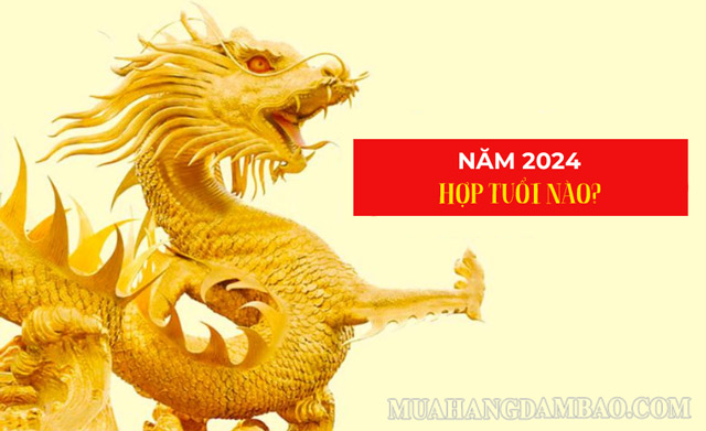 Sinh năm 2024 hợp các tuổi Bính Ngọ, Tân Hợi, Nhâm Tý, Ất Tỵ và Mậu Thìn