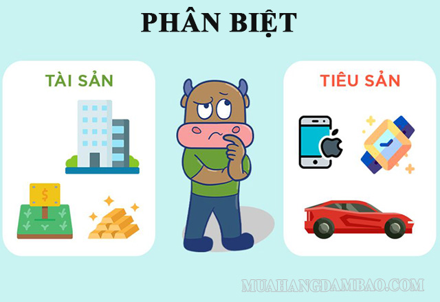 Phân biệt tài sản - tiêu sản