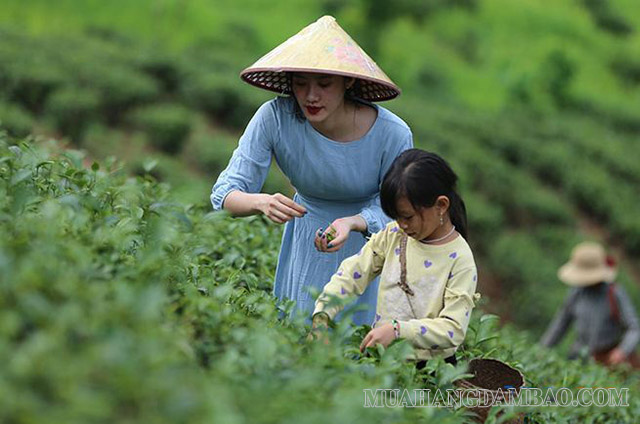 Sản phẩm du lịch đơn lẻ