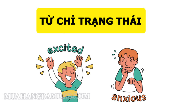 Có hai kiểu từ chỉ trạng thái thường dùng