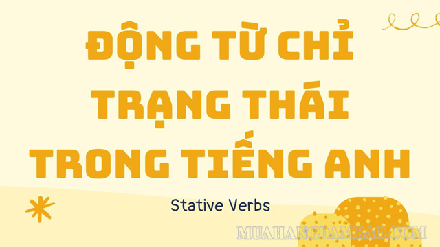 Động từ trạng thái là kiến thức quan trọng trong tiếng Anh