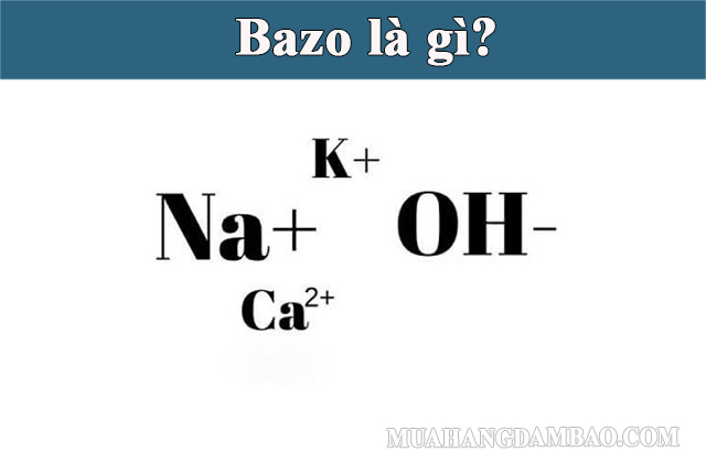 Bazo - X(OH)n