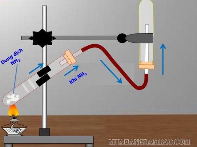 Điều chế amoniac trong phòng thí nghiệm