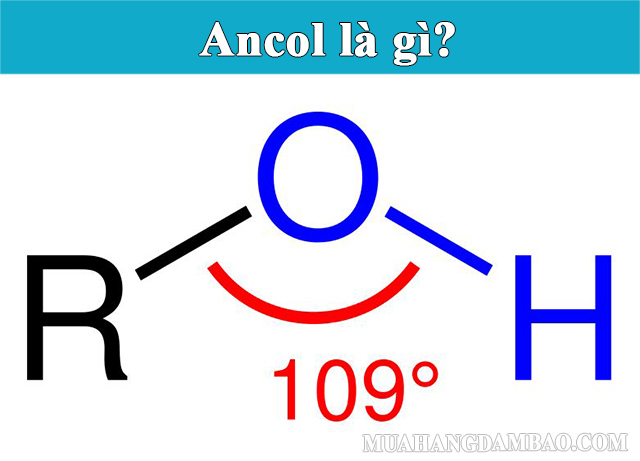 Ancol - hợp chất hữu cơ chứa nhóm OH