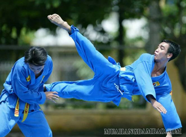 Tính liên hoàn của Vovinam