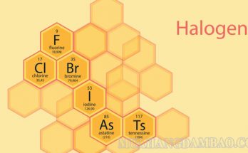 Halogen thuộc nhóm VIIA của bảng tuần hoàn hóa học