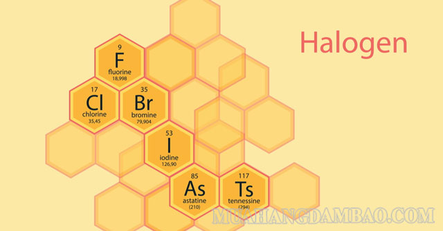 Halogen thuộc nhóm VIIA của bảng tuần hoàn hóa học