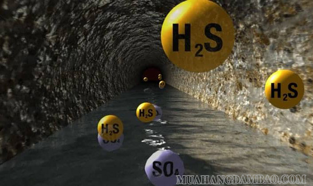 H2S - một hợp chất của lưu huỳnh