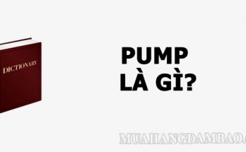 Pump là từ ngữ thông dụng trong tiếng Anh