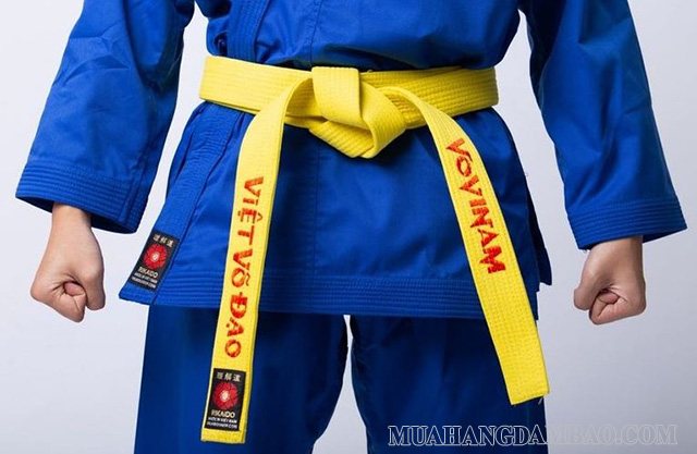 Vovinam đai vàng