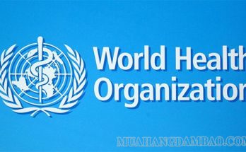 WHO là Tổ chức Y tế thế giới với 194 thành viên