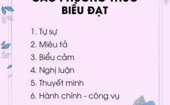 6 phương thức biểu đạt chính