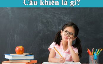 Câu khiến - câu mệnh lệnh, cầu khiến