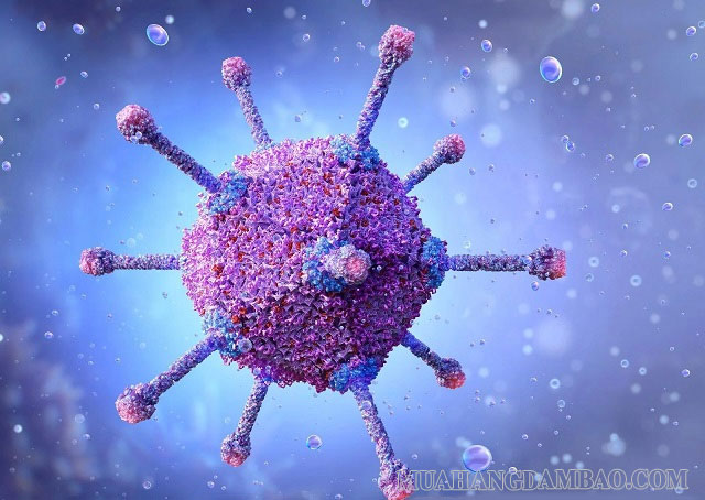 Adenovirus có thể tồn tại lâu dài ở môi trường bên ngoài