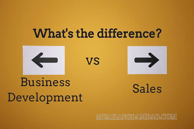 Business Development và nhân viên Sales có nhiều điểm khác biệt
