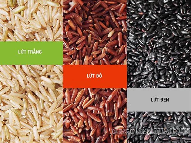 Các loại gạo lứt phổ biến