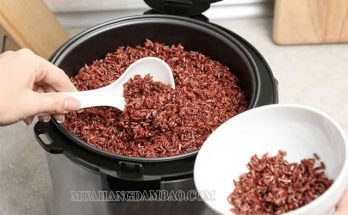 Cách nấu gạo lứt huyết rồng dẻo ngon không bị khô giảm cân bằng nồi cơm điện