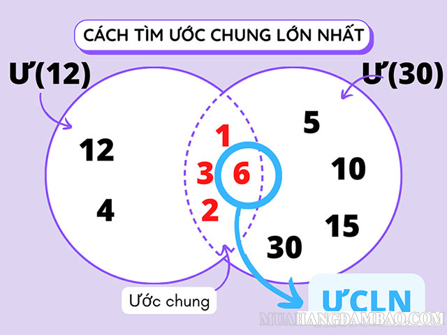 Cách tìm ước chung lớn nhất đơn giản nhất