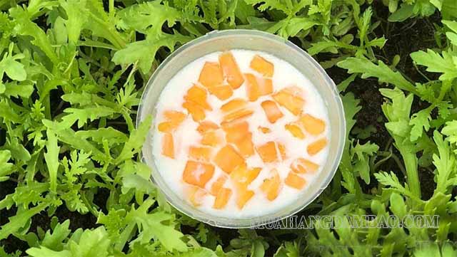Sữa chua truyền thống thơm ngon, giúp giải nhiệt hiệu quả trong những ngày oi ả