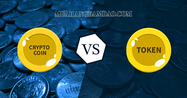Crypto được chia thành 2 loại chính là đồng coin và token