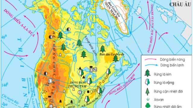 Bản đồ đặc điểm địa hình của Bắc Mỹ