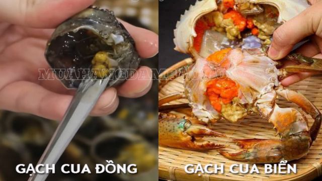 Gạch cua nấu canh