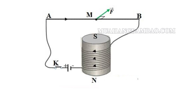 Cách xác định phương và chiều của hai lực cân bằng