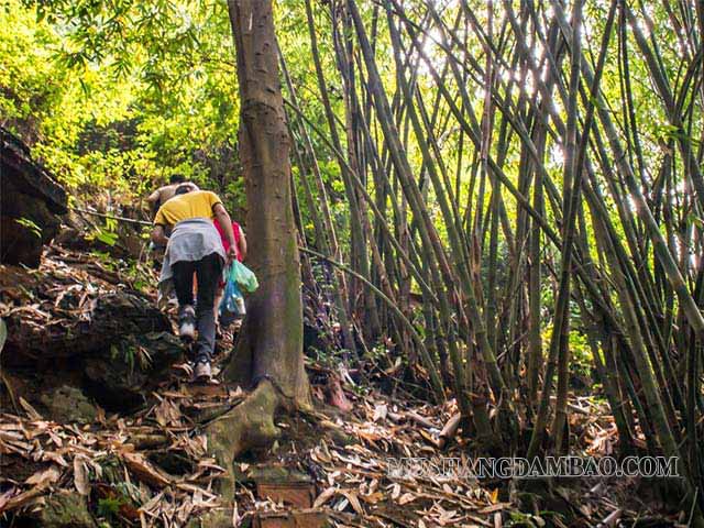 Trekking tại Hoa Quả Sơn