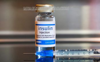Insulin là một loại hormon do các tế bào ở tuyến tụy tiết ra 