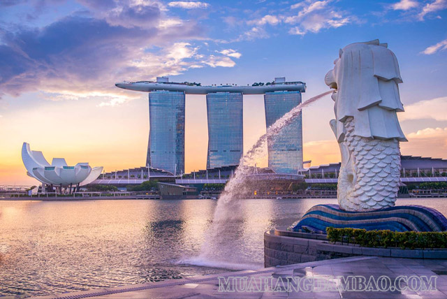 Singapore là quốc gia đi đầu trong việc thúc đẩy thị trường carbon