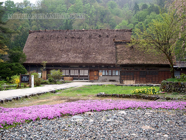 Wada- ngôi nhà lớn nhất tại khu làng cổ Shirakawago