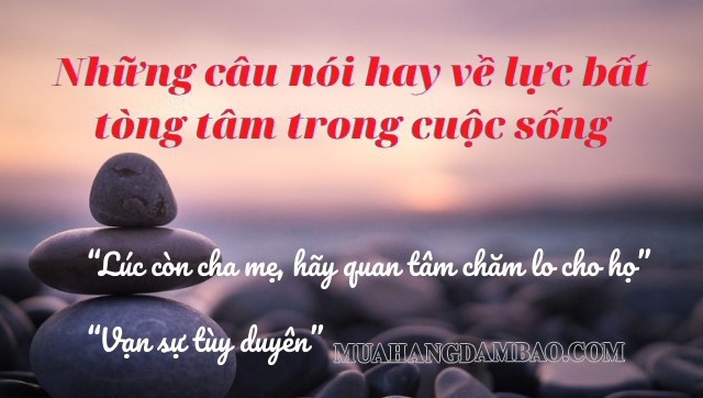 Những câu nói hay trong cuộc sống về lực bất tòng tâm