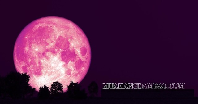 Hiện tượng siêu trăng hồng xảy ra ngày 27/04/2021
