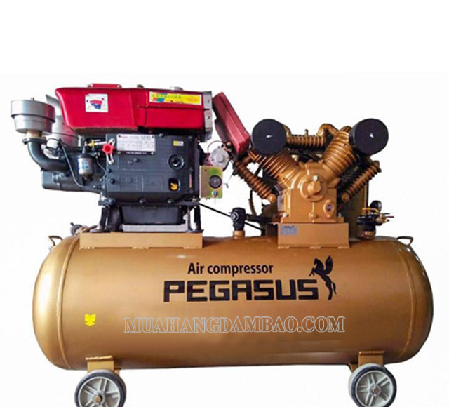    Máy nén khí chạy dầu Pegasus TM-V-1.05/12.5-330L